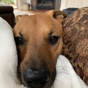 Meet your Posher, Janet